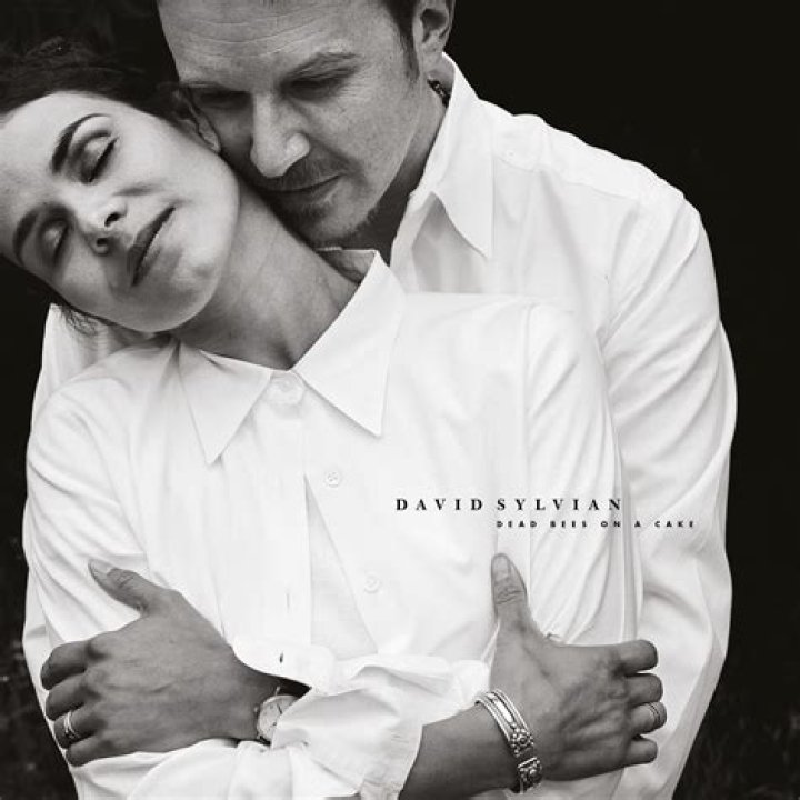 David Sylvian & Ingrid Chavez Ingrid, David, Latest music