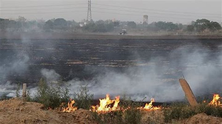 Delhi govt sends showcause notices, initiates enquiry against private