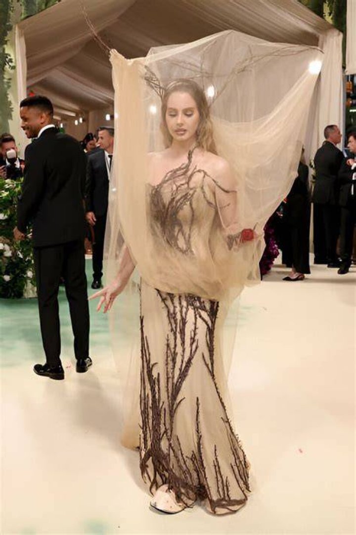 Did Lana Del Rey wear an 18 Shein dress on the red carpet?