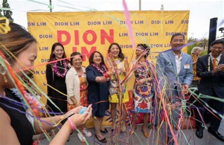 Dion Lim ABC, BioWiki, Age, Height, Husband, Salary, Net Worth, Book