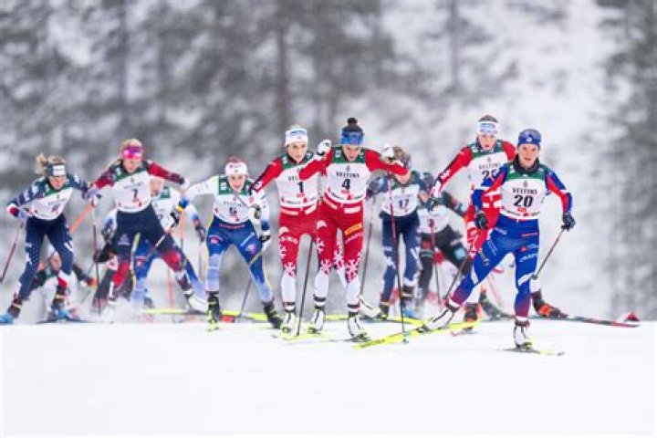Discoveries And Insights For The Skiing Enthusiast