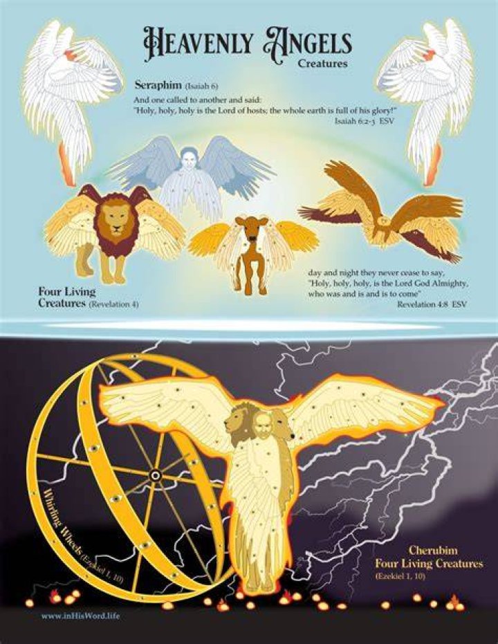 Discoveries And Insights From Angels And Kings