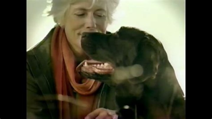 Discoveries And Insights From Blue Dog Food Commercial Actresses