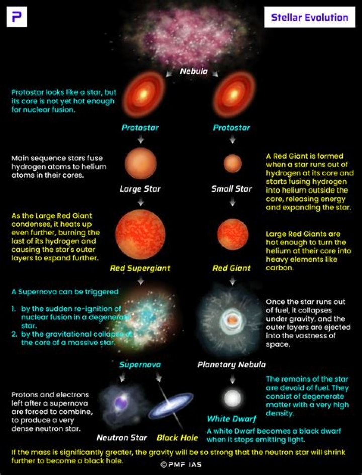Discoveries And Insights Into A Stellar Birth Year