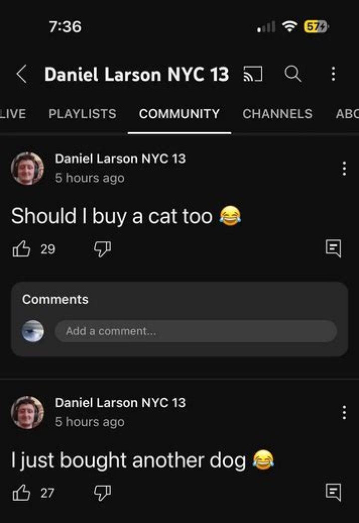 Dog Arc Daniel Larson Wiki
