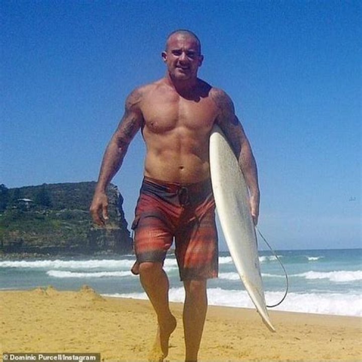 Dominic Purcell Height and Weight, Biceps Size, Body Measurements
