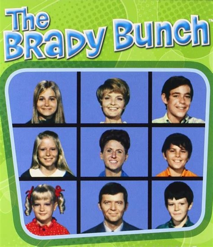 Download Brady Bunch In Guest Interview Wallpaper