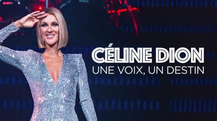 Épinglé par ff sur Celine dion Celine dion, Célébrités, Celine