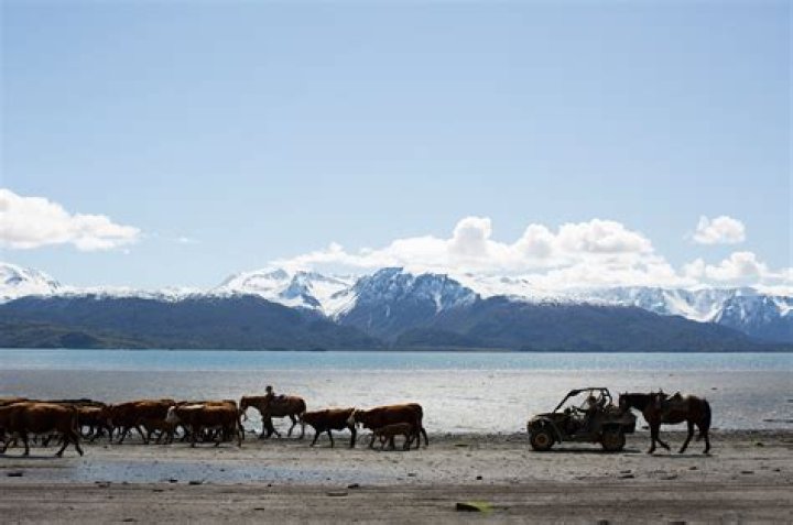 Eivin Kilcher on set of Discoverys Alaska Kilcher Homestead, On Set