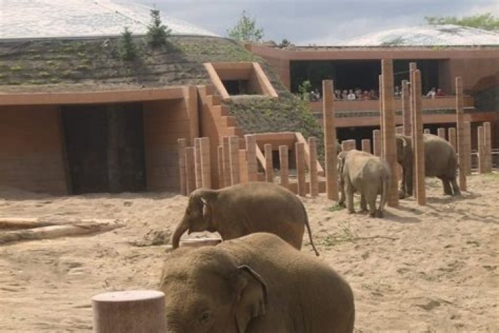 Elephant House, Copenhagen Zoo BuroHappold Engineering