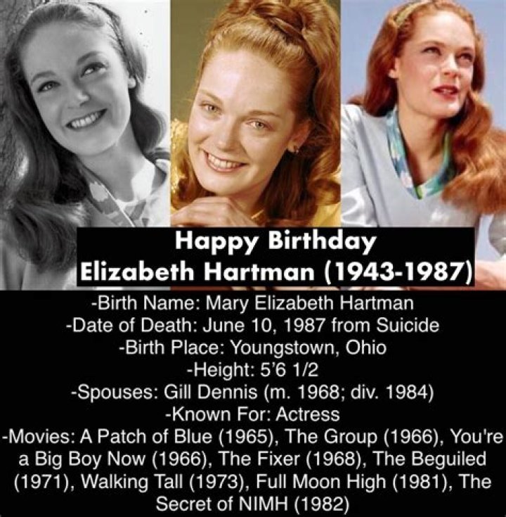 Elizabeth Hartman Movies, Bio and Lists on MUBI