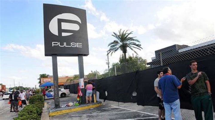 Enter the metaveg City Pulse