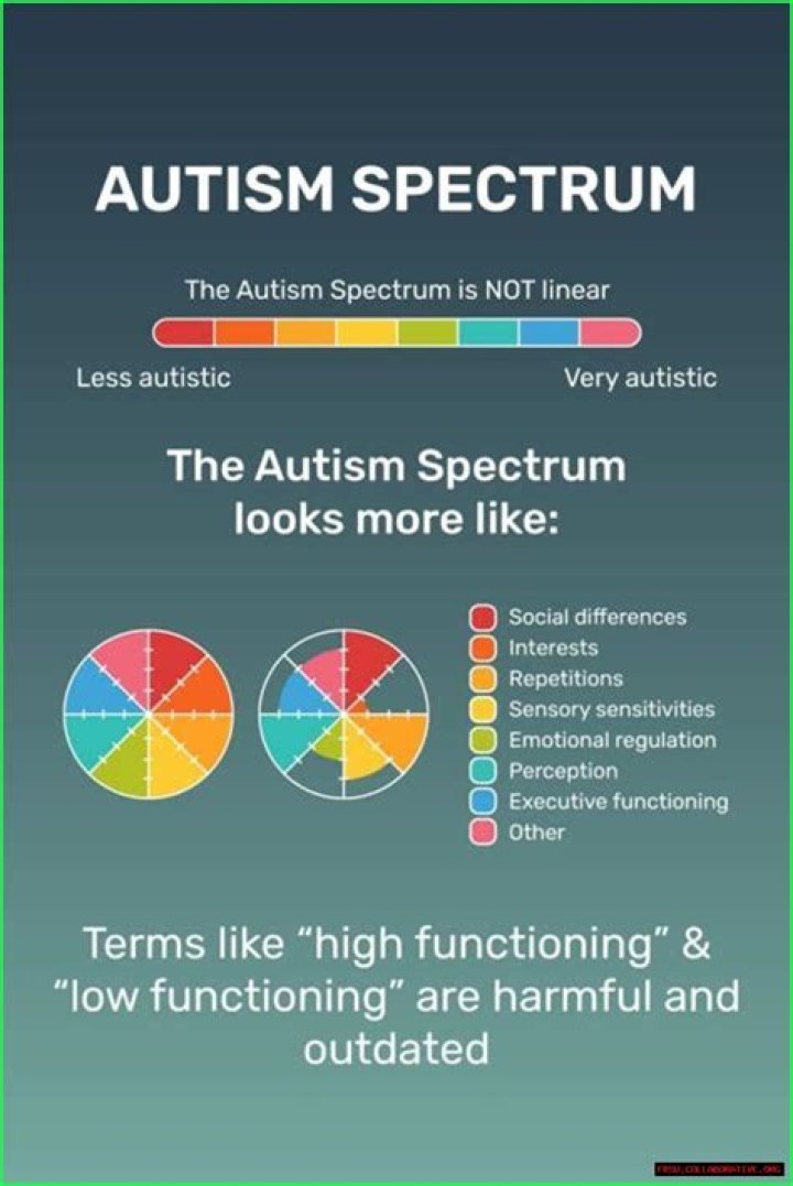 Exploring The Spectrum Of Autism With Louis