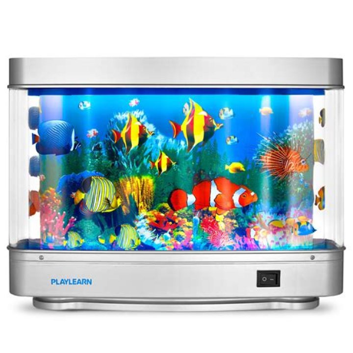 Fascinating Fish Tank Sylvia An Underwater Wonderland Of Colorful Life