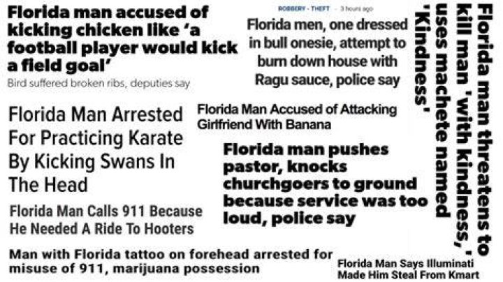 Florida Man The craziest headlines from summer 2020 Film Daily