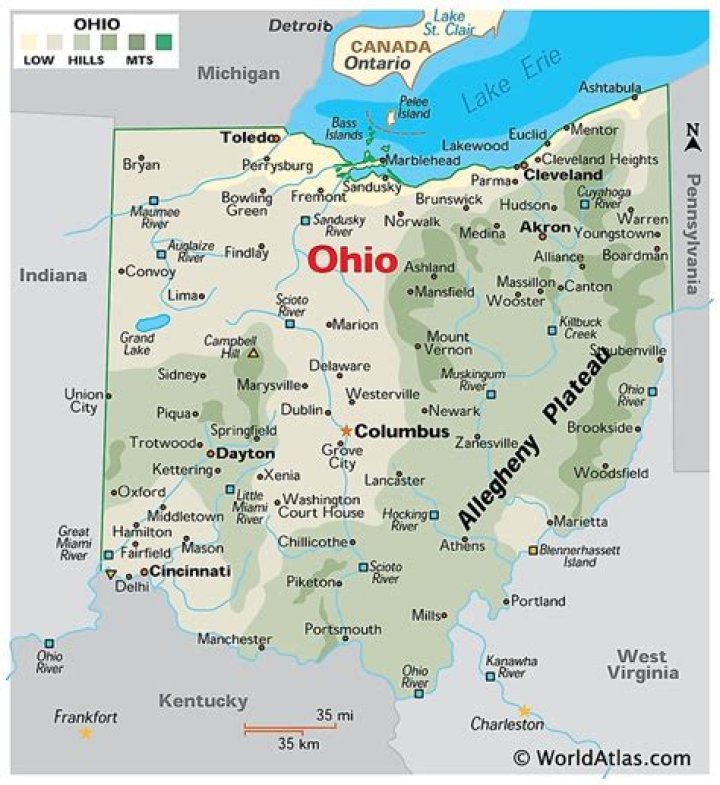 From Hollywood to the Ohio Valley with the Chrisagis Brothers News