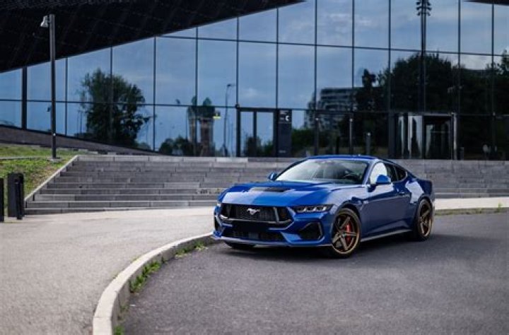 Gallery Mustang Harry's