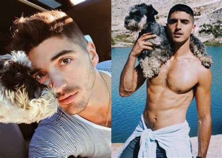 Get To Know Taylor Zakhar Perez, The Handsome Actor In "The Kissing