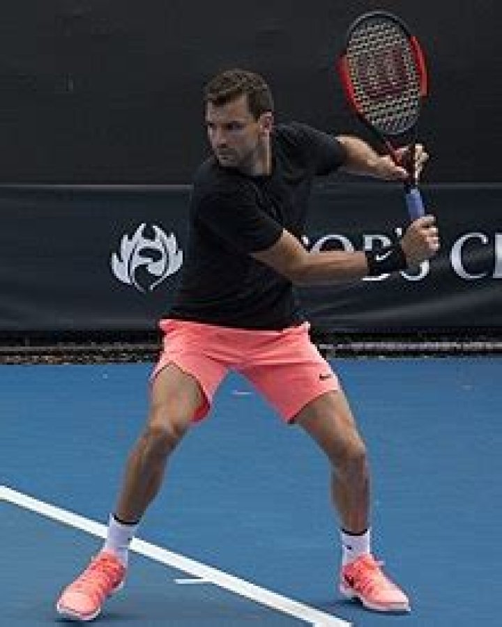 Grigor Dimitrov Wikipedia