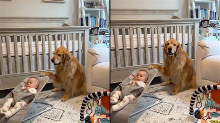 Grimes Shares Adorable Video of 10MonthOld Son X AE AXii Playing on