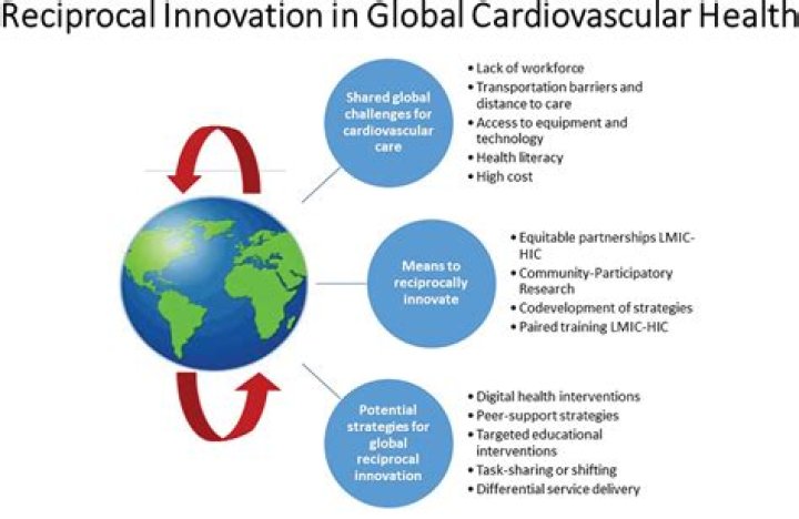 Groundbreaking Insights And Innovations In Cardiovascular Care