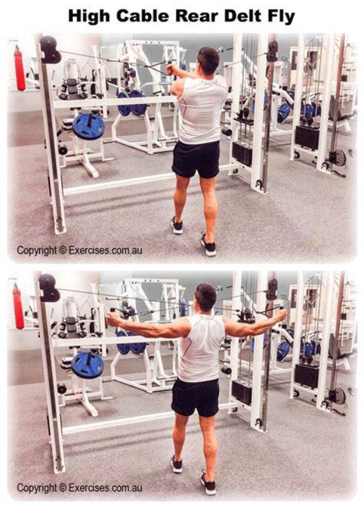 High Cable Rear Delt Fly Expert 217 Min Howto Video