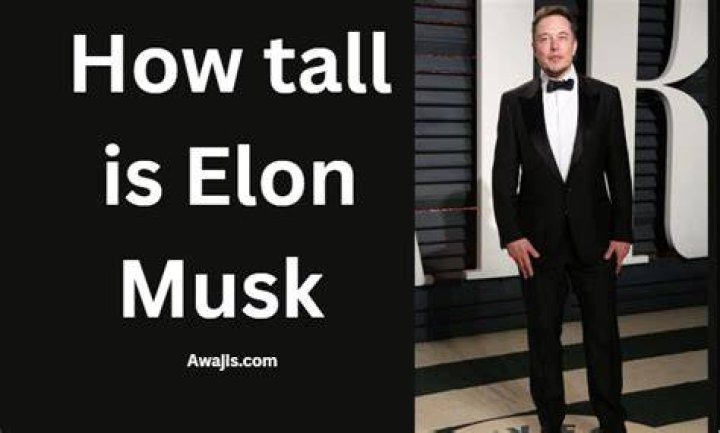 How Tall is Elon Musk The Billionaire Heights FameMetrics