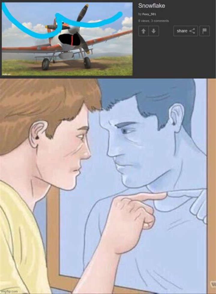 Image tagged in pointing mirror guy Imgflip