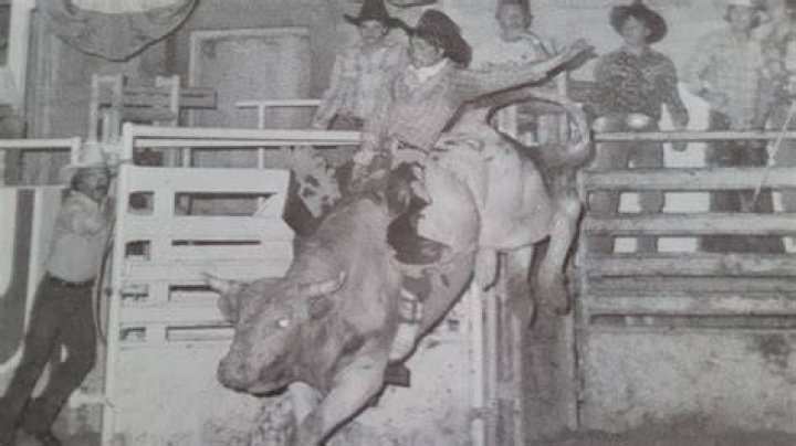 Irfaan Ali (1980 ) &bull;