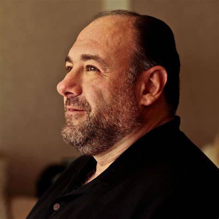 James Gandolfini's Son Michael Admits There's Pressure Playing Tony