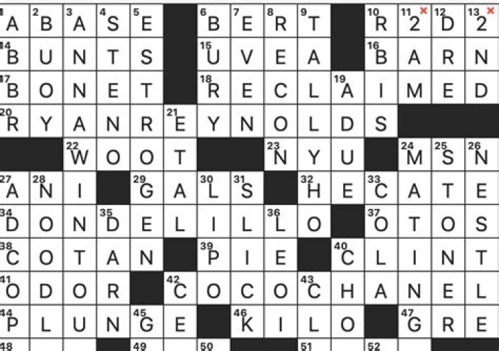 Jewelry To A Rapper Crossword