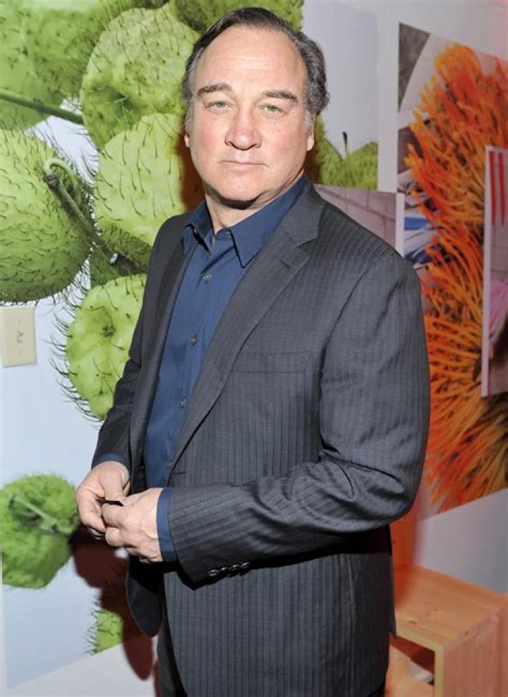 Jim Belushi Believes Brother John May Be Alive If Used Medical