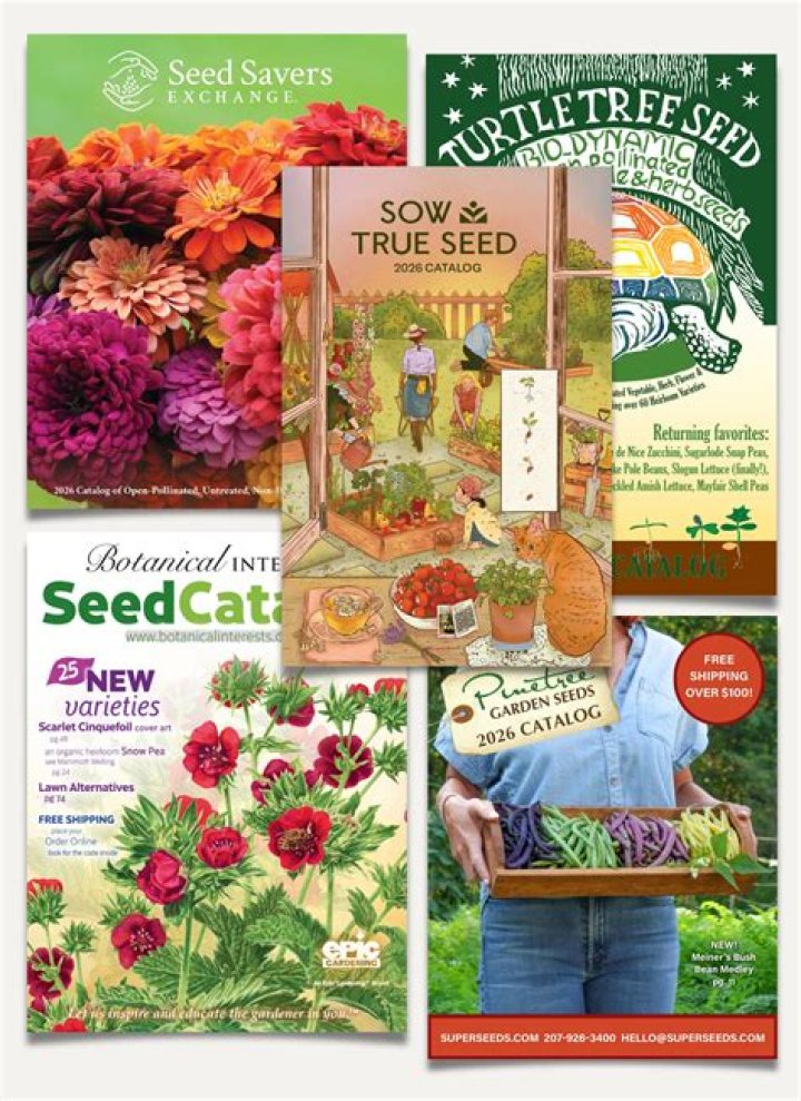 JOHNSON&rsquo;S SEED & FEED 871 W Isabella St, Salisbury, Maryland Home