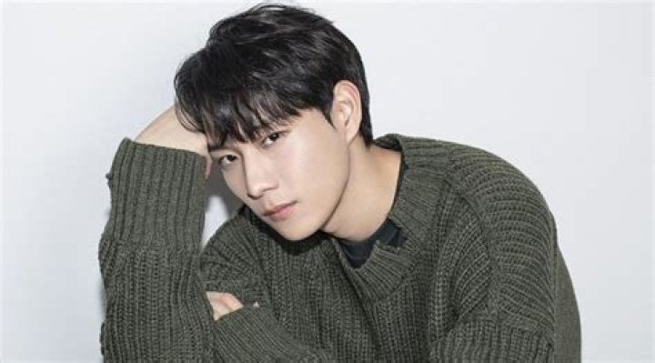 Kim Young Dae Bio, Profile, Education, Career, Girlfriend, Family, Awards