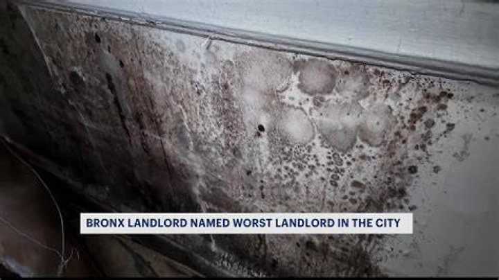 Landlord Named ACC Legend But Something Bugs Us About This Duke
