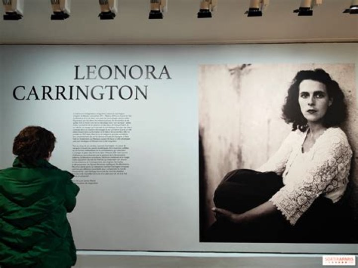 Laura Carrington (lauracarrington) Twitter