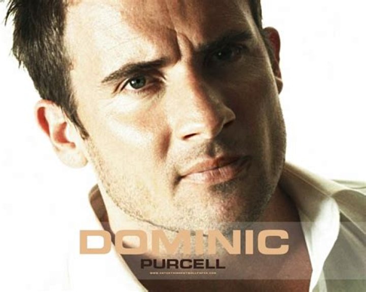 Lincoln Burrows Resimleri
