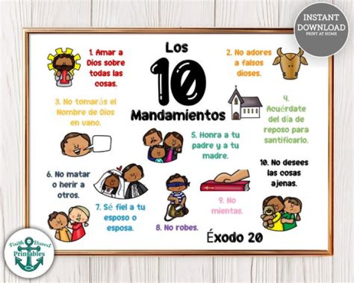 Los 10 &ldquo;must&rdquo; de Pamela Noa Primera Hora