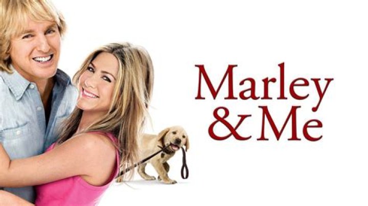 Mark Stevens — The Movie Database (TMDB)
