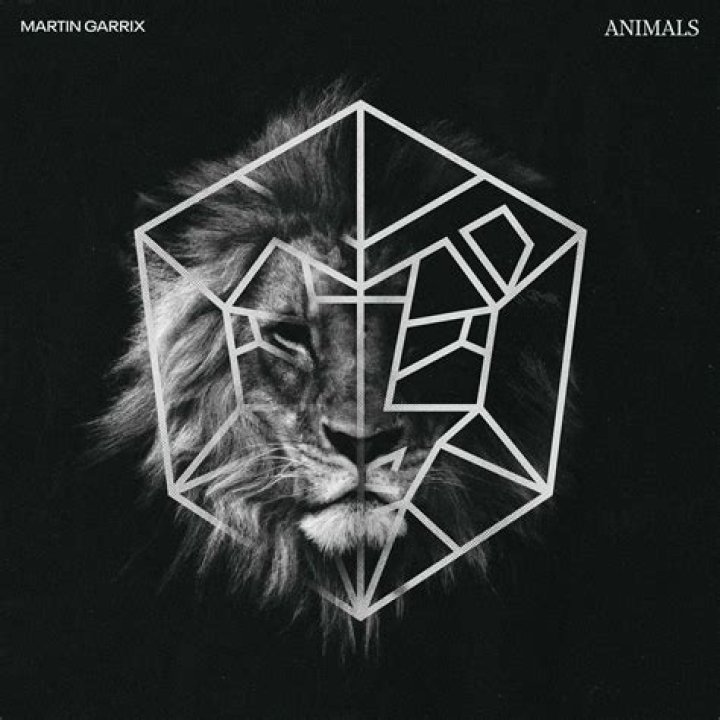 martin garrix animals jacket drewvanackerage