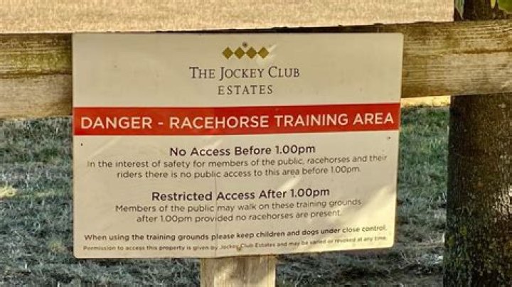 Maureen Haggas breaks two vertebrae in her neck after horse spooked by