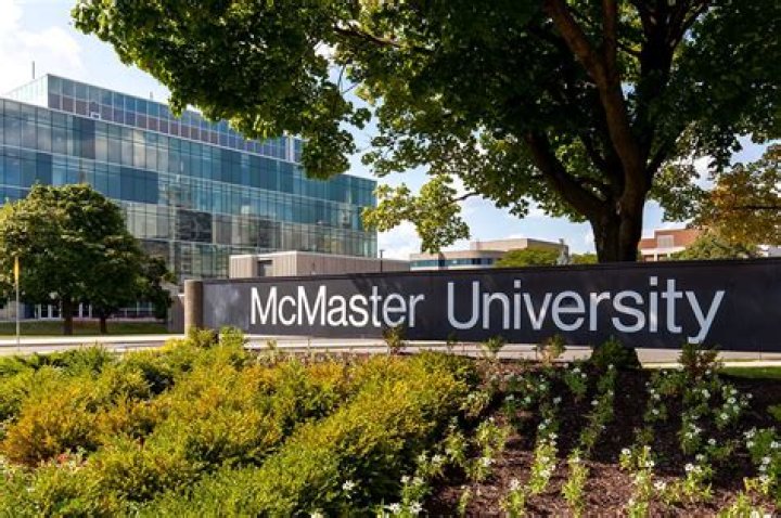 Maya Eriksen McMaster University Hamilton, Ontario, Canada LinkedIn