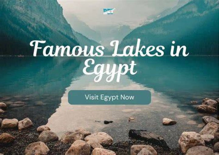MBC INTERACTIVE ARCHIVE Egypt The Middle East&rsquo;s Largest Film Industry