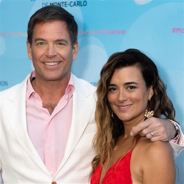 Michael Weatherly's Eldest Son Struggled With His Parents' Divorce