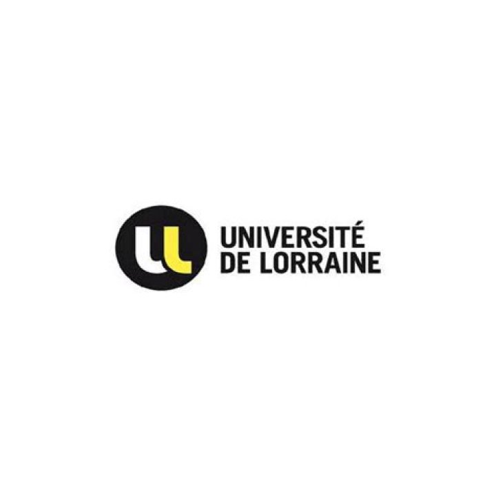 Micha&euml;l PICON University of Lorraine, Nancy UdL CERGAPE Centre d