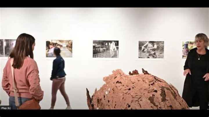 MoCA Westport YouTube