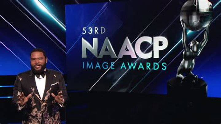 NAACP 44th Image Awards Don Cheadle and his wife Brigid Coulter 2