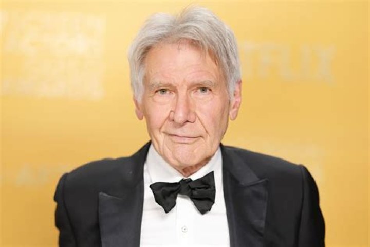 Now What! Harrison Ford won't face discipline in landing mishap.....