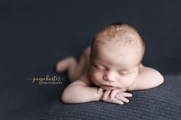 Paige green hires stock photography and images Alamy