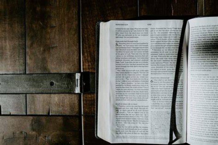 Paul Tripp Focus on the Family